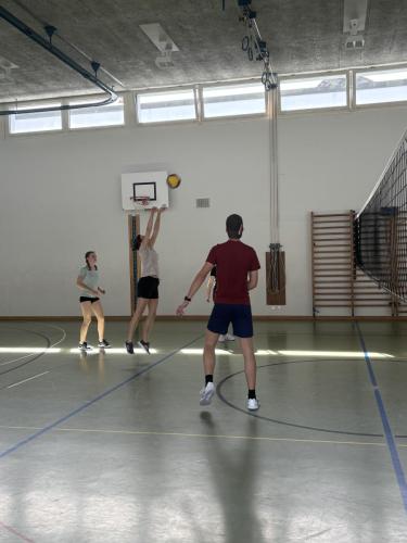 IMG 2713